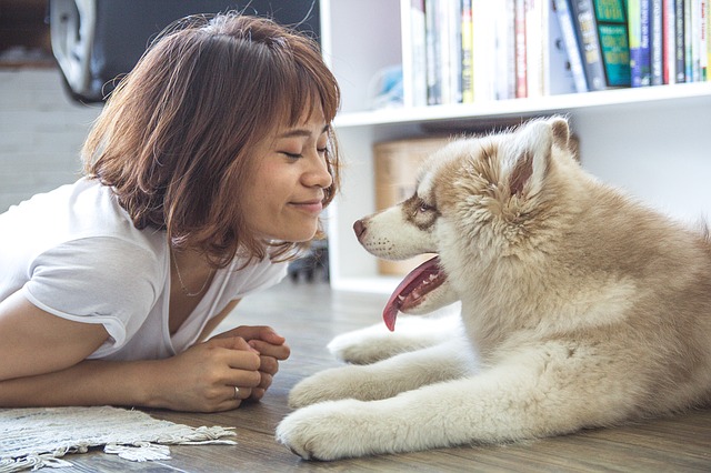 ミュージカルに魅力を感じない少女