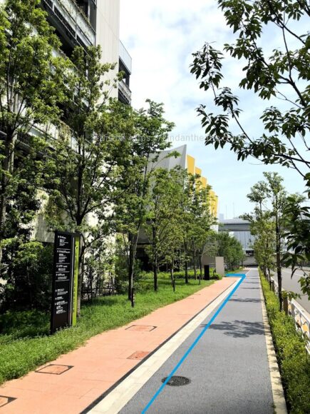 有明ガーデン立体駐車場前歩道 有明四季劇場近く