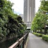 浜離宮恩賜庭園横、海岸通りの歩道。高層ビルと自然のコントラストが映える。