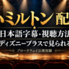 ミュージカル『ハミルトン』のディズニープラス配信、日本語字幕、視聴方法を案内するアイキャッチ画像